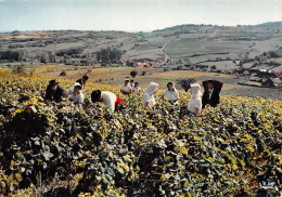 21-VENDANGE EN BOURGOGNE-N°T2724-C/0263 - Autres & Non Classés