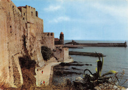 66-COLLIOURE-N°T2725-D/0145 - Collioure