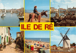 17-ILE DE RE-N°T2725-C/0381 - Ile De Ré