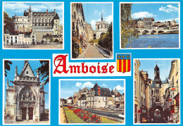 37-AMBOISE-N°T2726-A/0093 - Amboise