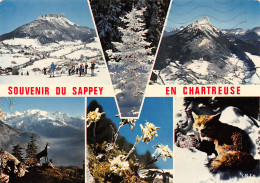 38-LE SAPEY EN CHARTREUSE-N°T2726-A/0003 - Autres & Non Classés