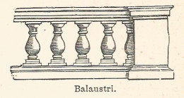 Balaustri - 1924 Xilografia D'epoca - Vintage Engraving - Gravure - Prints & Engravings