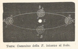 Cammino Della Terra Intorno Al Sole - 1930 Xilografia - Vintage Engraving - Estampas & Grabados