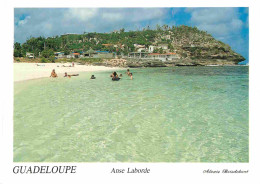 Guadeloupe - Anse Bertrand - Anse Laborde - Plage - CPM - Carte Neuve - Voir Scans Recto-Verso - Sonstige & Ohne Zuordnung