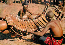 Afrique Noire - Afrique En Couleurs - 3203 - Joueurs De Balafons - CPM - Voir Scans Recto-Verso - Non Classificati