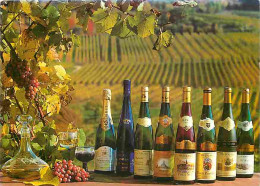 Publicite - Cépages D'Alsace - Vin - Wine - CPM - Voir Scans Recto-Verso - Advertising
