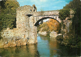 65 - Hautes Pyrénées - Le Pont Du Diable - CPM - Voir Scans Recto-Verso - Autres & Non Classés