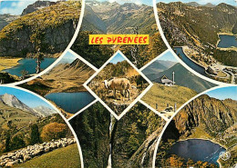 65 - Hautes Pyrénées - Multivues - CPM - Etat Pli Visible - Voir Scans Recto-Verso - Other & Unclassified