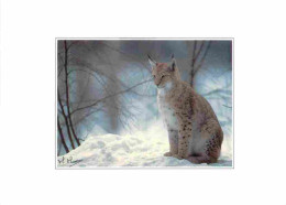 Animaux - Fauves - Lynx - Carte Regard Nature - Hiver - Neige - CPM - Voir Scans Recto-Verso - Autres & Non Classés