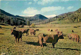 Animaux - Vaches - Auvergne - Pâturages - Flamme Postale - CPM - Voir Scans Recto-Verso - Koeien