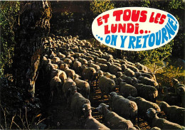 Animaux - Moutons - Carte Humoristique - Et Tous Les Lundi On Y Retourne - CPM - Voir Scans Recto-Verso - Autres & Non Classés