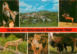 Animaux - Grafenau Am Nationalpark Bayerischer Wald - Multivues - CPM - Voir Scans Recto-Verso - Autres & Non Classés