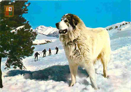 Animaux - Chiens - Chien Des Pyrénées - Neige - CPM - Voir Scans Recto-Verso - Honden