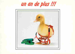 Animaux - Oiseaux - Canards - Caneton - CPM - Voir Scans Recto-Verso - Vogels