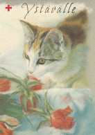 Postal Stationery - Cat - Kitten - Flowers - Roses - Red Cross 1996 - Suomi Finland - Postage Paid - Postal Stationery