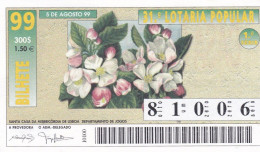 PORTUGAL LOTTERY TICKET 1999 - Billetes De Lotería