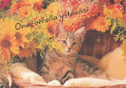 Postal Stationery - Cat - Kitten In The Basket - Flowers - Red Cross 1997 - Suomi Finland - Postage Paid - Postwaardestukken