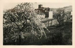 COUZON AU MONT D'OR PAYSAGE DE PRINTEMPS - Autres & Non Classés