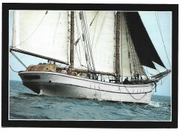 " IRÉNE ".- LE VIEUX DUNDEE CABOTEUR ANGLAIS - Sailing Vessels