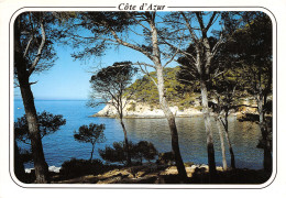 83-CALANQUE DE PORT D ALON-N°T2727-B/0229 - Autres & Non Classés