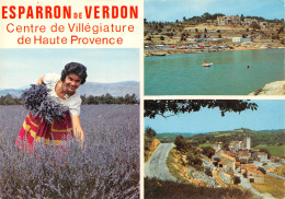 04-ESPARRON DE VERDON-N°T2727-B/0183 - Other & Unclassified