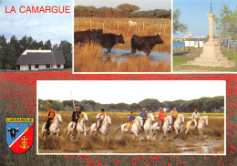 13-CAMARGUE-N°T2727-B/0173 - Sonstige & Ohne Zuordnung