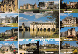 41-CHATEAUX DE LA LOIRE-N°T2727-B/0035 - Autres & Non Classés