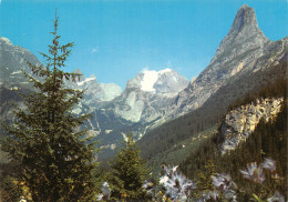 73-PRALOGNAN LA VANOISE-N°T2727-D/0277 - Pralognan-la-Vanoise