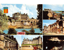 37-AMBOISE-N°T2728-D/0133 - Amboise