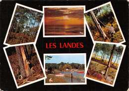 40-LES LANDES-N°T2728-C/0211 - Sonstige & Ohne Zuordnung