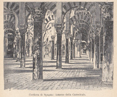 Cordova Di Spagna - Interno Cattedrale - 1926 Stampa - Vintage Print   - Estampas & Grabados