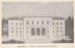 Roma - Istituto Nazionale Di Agricoltura - 1924 Stampa - Vintage Print - Prenten & Gravure