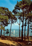 33-BASSIN D ARCACHON-N°T2729-B/0265 - Other & Unclassified