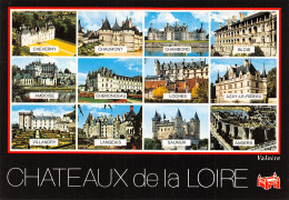 41-CHATEAUX DE LA LOIRE-N°T2728-D/0323 - Andere & Zonder Classificatie
