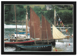 LES CHALOUPES SOUS LES PLOMARC'H, VOILES A SECHER COMME EN 1900.... - Voiliers