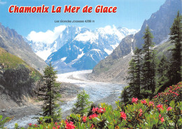 74-CHAMONIX MONT BLANC-N°T2730-C/0077 - Chamonix-Mont-Blanc