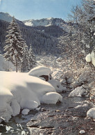 05-MONTAGNE EN HIVER-N°T2731-B/0131 - Sonstige & Ohne Zuordnung