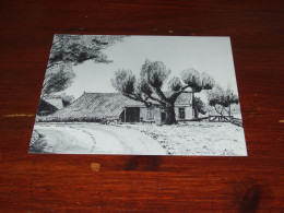 76994-     12 X 14,5 CM. PRENTBRIEFKAART- MIDLAREN / "BOERDERIJ" - Zuidlaren