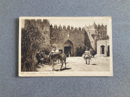 Jerusalem Damascus Gate Carte Postale Postcard - Israel