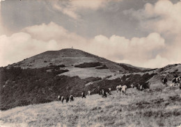 68-GRAND BALLON-N°T2732-A/0087 - Sonstige & Ohne Zuordnung