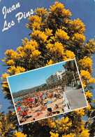 06-JUAN LES PINS-N°T2731-C/0227 - Juan-les-Pins