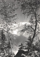 74-MONT BLANC-N°T2731-C/0035 - Sonstige & Ohne Zuordnung