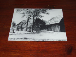 76996-     12 X 14,5 CM. PRENTBRIEFKAART- EEXT / "SCHAAPSKOOI" - Sonstige & Ohne Zuordnung