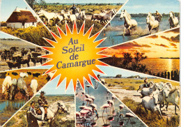 13-EN CAMARGUE-N°T2733-A/0165 - Andere & Zonder Classificatie