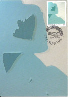 31009 - Carte Maximum - Portugal Madeira - Europa Arte Contemporanea - Lourdes Castro "Sombra...Christa Maar" 1968  - Cartes-maximum (CM)