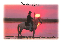 13-EN CAMARGUE-N°T2734-A/0045 - Altri & Non Classificati