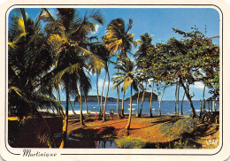 972-MARTINIQUE SAINTE MARIE-N°T2733-D/0219 - Other & Unclassified
