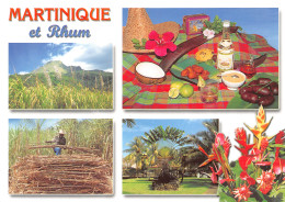 972-MARTINIQUE-N°T2733-D/0229 - Other & Unclassified