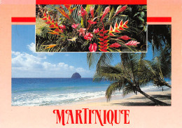 972-MARTINIQUE-N°T2733-D/0213 - Andere & Zonder Classificatie