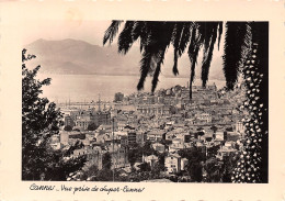 06-CANNES-N°T2733-C/0181 - Cannes